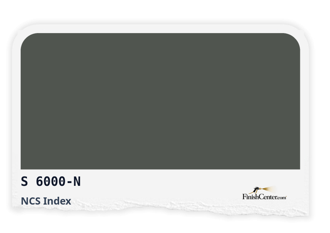 Зразок кольору NCS S 6000-N — Finish Center