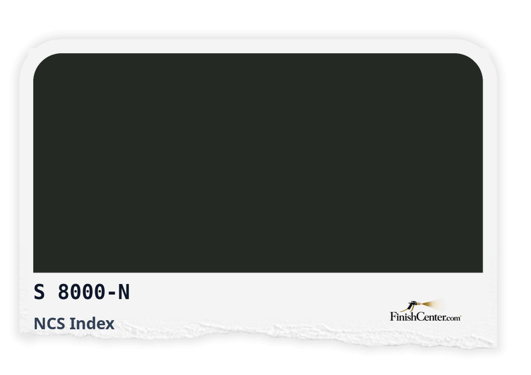 Зразок кольору NCS S 8000-N — Finish Center